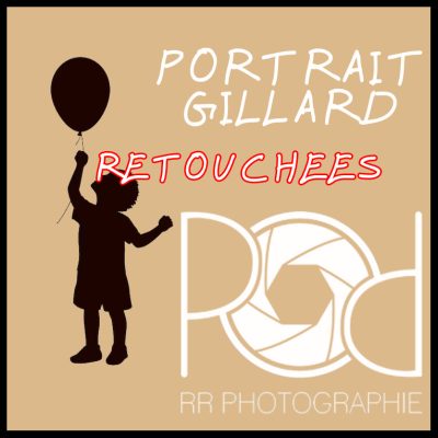 VISUE GALERIE GILLARD